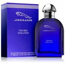 Jaguar evolution for Men - Eau de Toilette, 100ml - ELBEAUTE