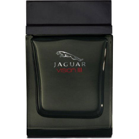 Jaguar Vision III for Men - Eau de Toilette, 100ml - ELBEAUTE