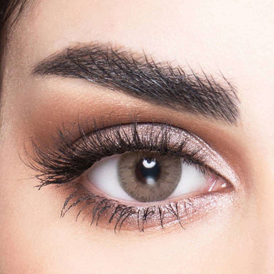 My Lens Annual lenses -Light Brown